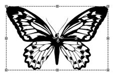 Paint Shop Pro resize vector images