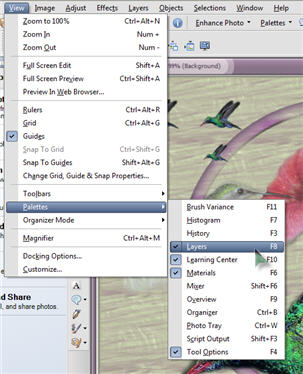 Paint Shop Pro View Palettes Layers