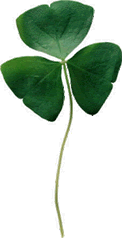 shamrock