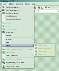 Layers Merge Visible